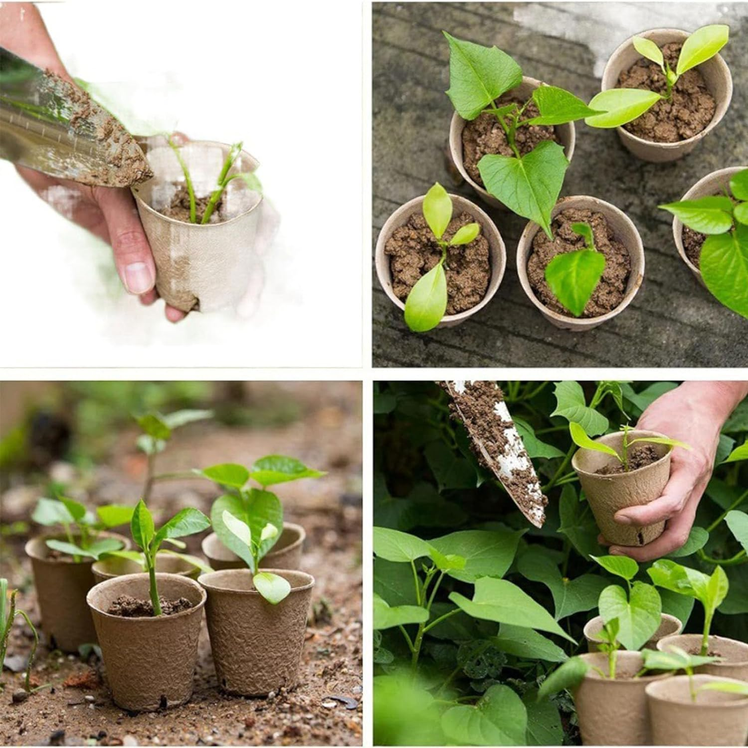 50 Packs of 3.15Inch Peat Pots,Entry-Level Garden and Nursery Seed Pots,Biodegradable Peat Pot Set with 50 Plant Labels and 2 Transplant Tools