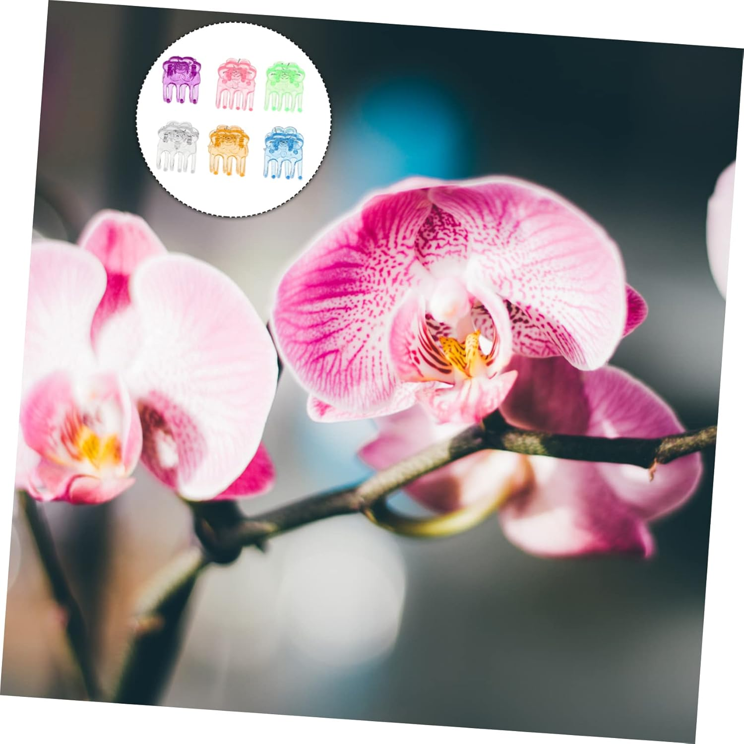 INOOMP 180Pcs Plastic Support Clips for Garden Flower Vine Fixing Clips Plant for Rose and Plants Vine Support for Garden Supplies image number 2