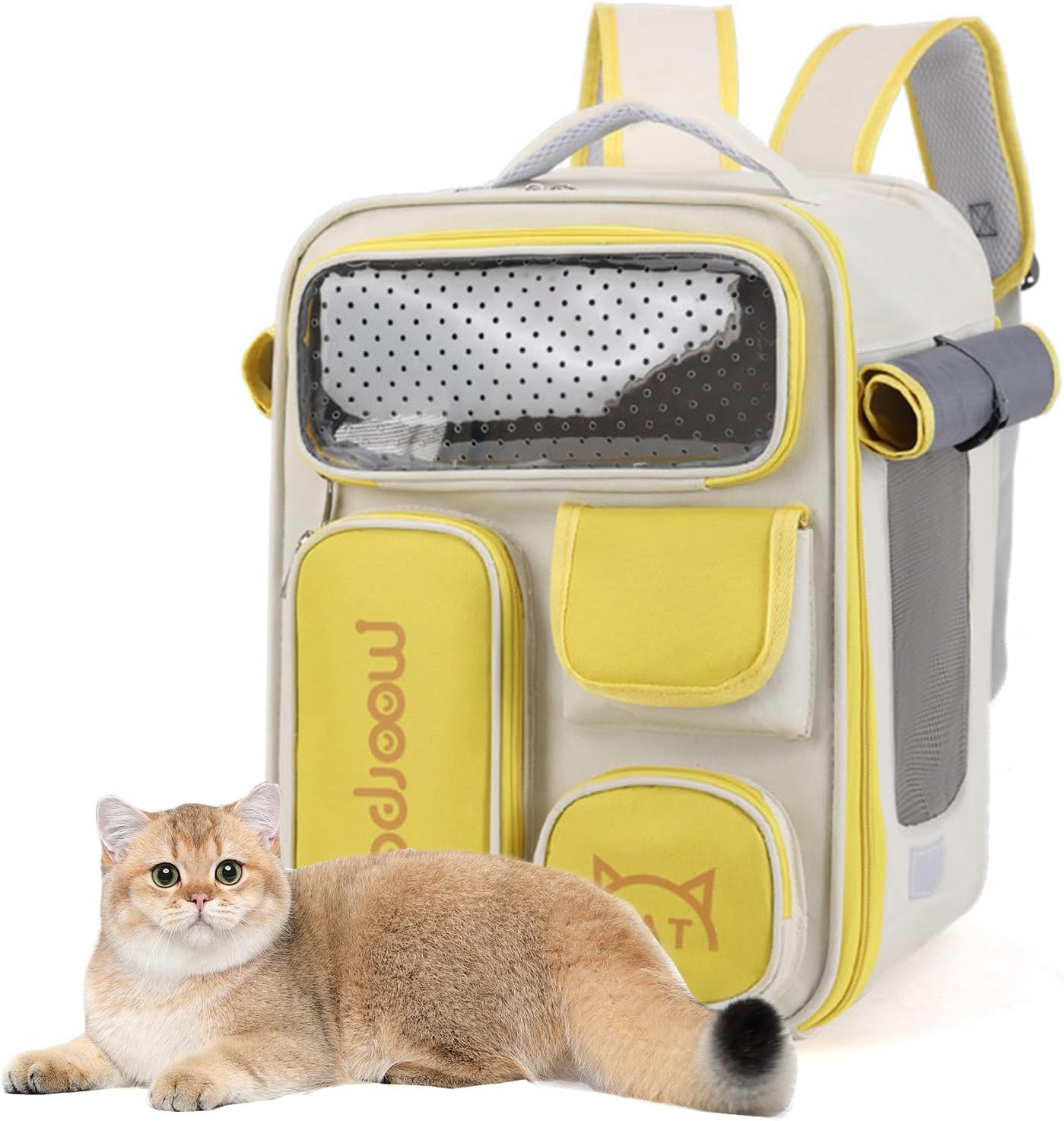 PETCUTE Cat Backpack, Space Capsule Pet Backpack for Small Cats and Dogs, Foldable Dog Carrier Backpack with Inner Safety Lead, Breathable Dog Backpack with Removable Mat