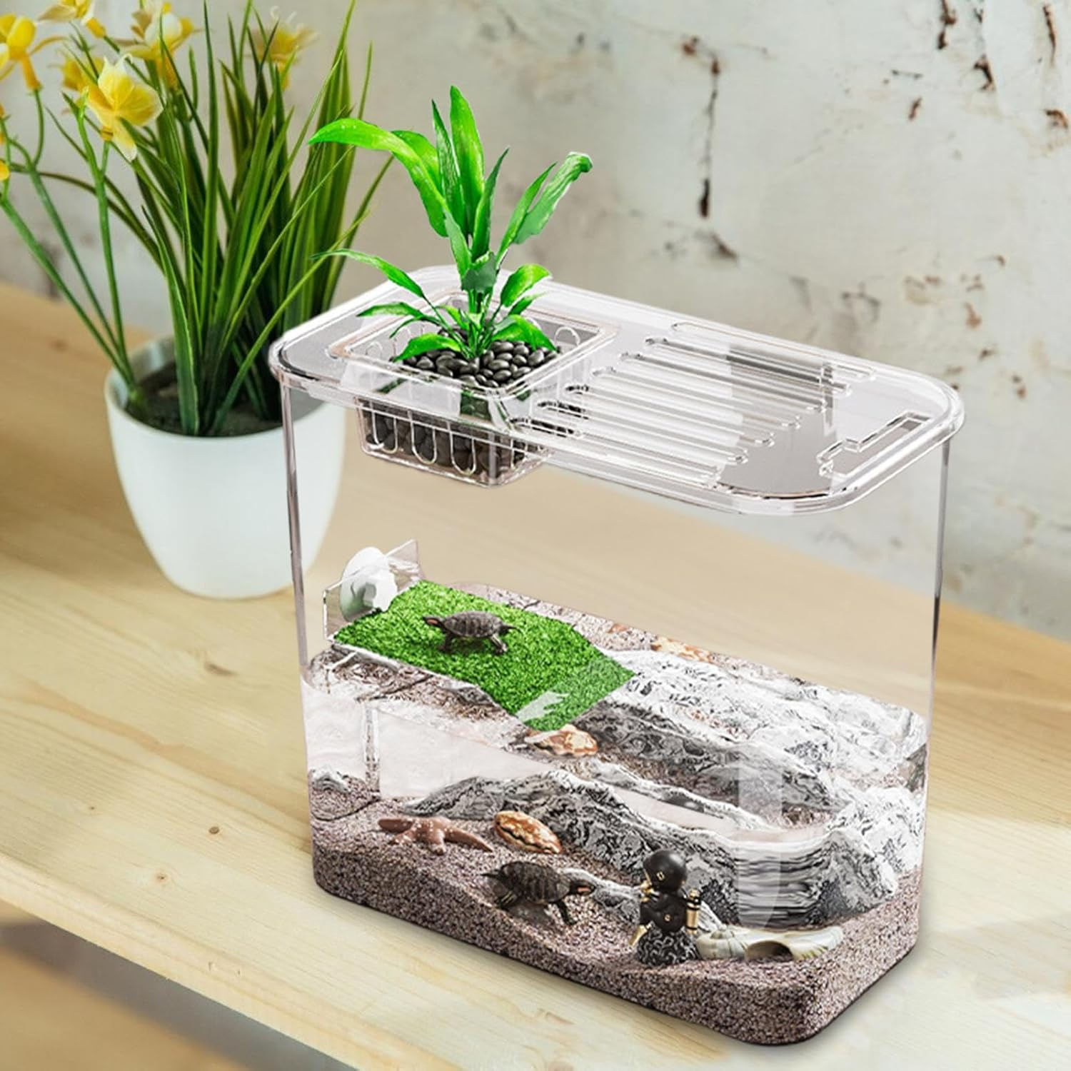 Turtle Aquarium, Transparent Turtle Tank, Turtle Fish Tank, Terrace Turtles Tank, Multifunctional Tortoise Tanks with Clear Design for Turtles and Aquatic Pets, Perfect for Raising and Displaying image number 2