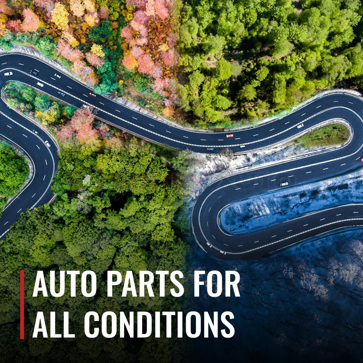 Wells WVE Distributor Cap & Rotor Kit Compatible with Jeep Cherokee Grand Cherokee TJ Wrangler 4.0L L6 1994-1999 image number 3