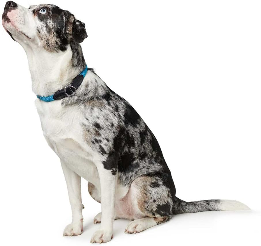 HUNTER Freestyle Dressage Collar, Colour: Dark Green, Durable Rope with Polyamide Core, Soft & Robust, Weatherproof & Easy to Clean, Ideal for Training and Everyday Use, Size: M image number 4