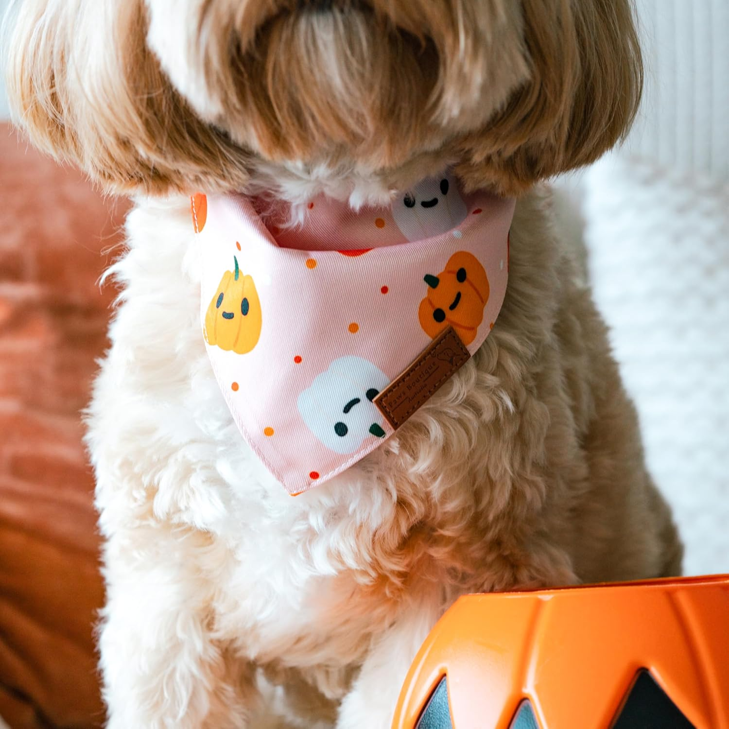 Paws Boutique Premium Dog Bandana/Scarf | Design: Pumpkin Pupkins | Reversible Dual Layered/Sided | Small, Medium & Large Pets | Unique Style | Accessories for Puppies & Dogs (L)