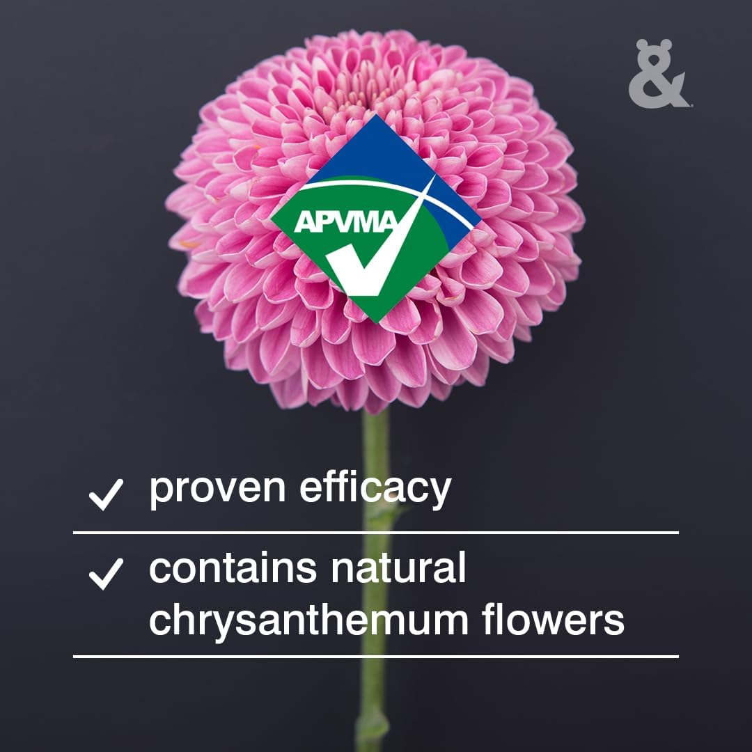 Rufus & Coco Flea Flee Treatment Shampoo for Dogs and Cats 200 Ml image number 5