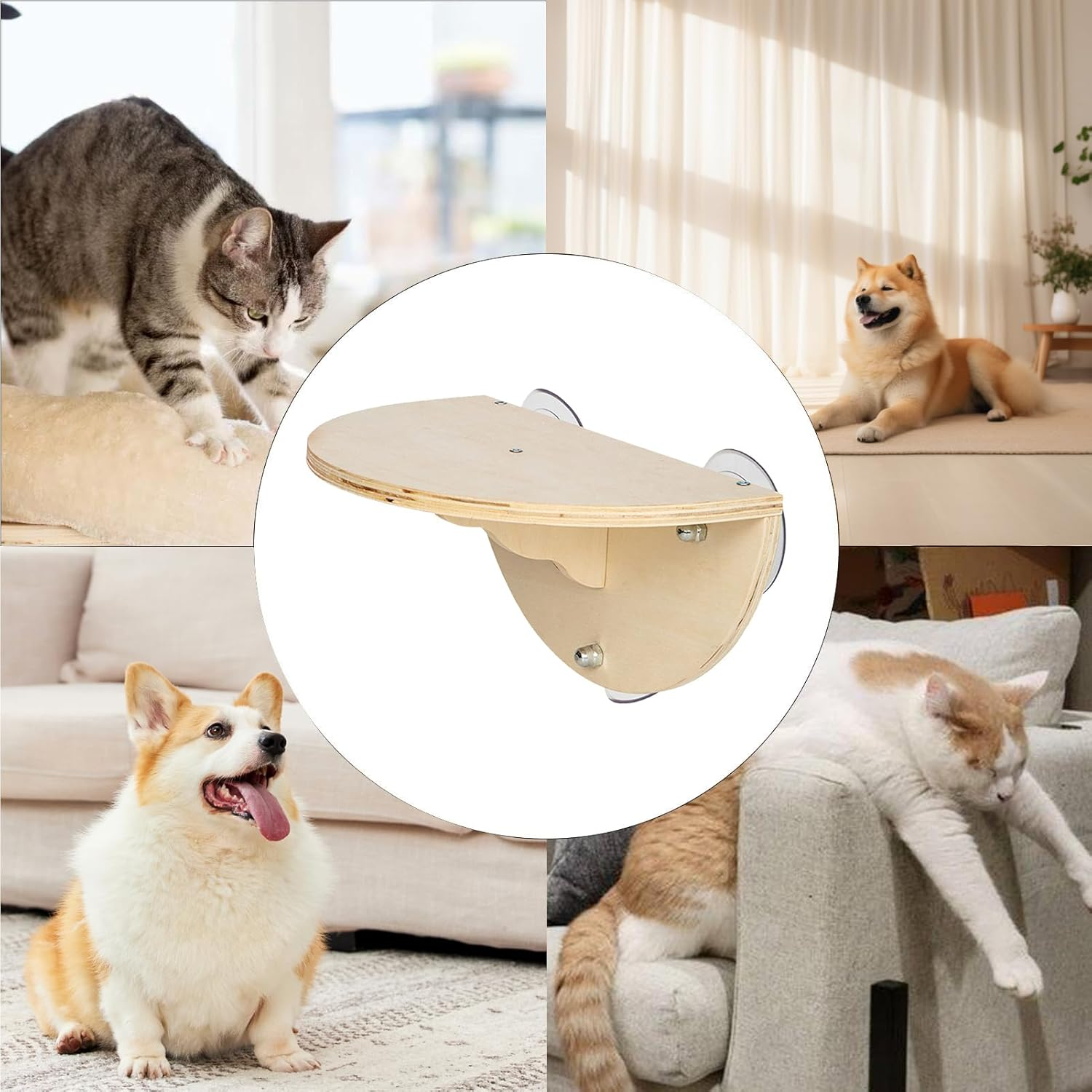 Cat Window Perch - Wooden Kitten Window Perch,Wood Cat Shelf Bed Climbing Seat with 3 Suction Cups Shelf Wall-Mounted for Indoor Cats image number 2