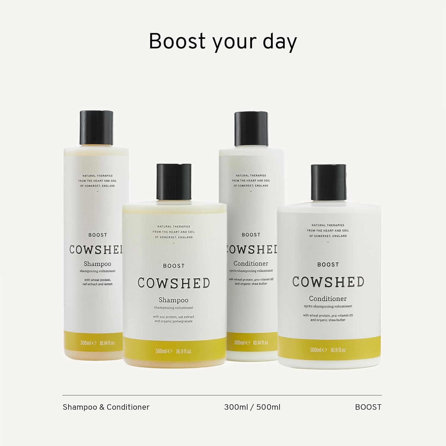 Cowshed Cowshed Boost Shampoo for Unisex 10.14 Oz Shampoo, 300 Ml image number 4