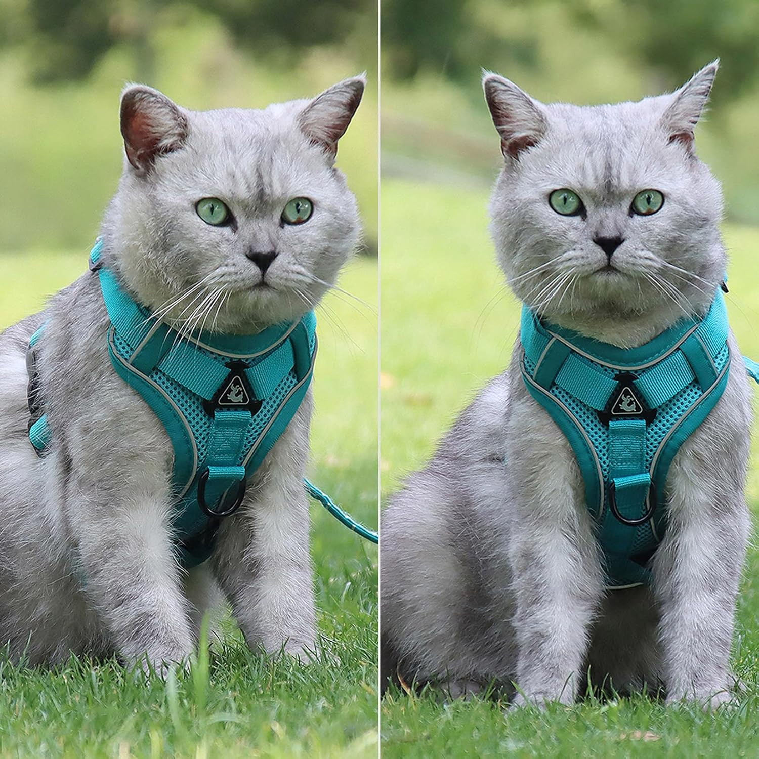 Zunea No Pull Dog Harness for Small Medium Dogs Puppy Cats Vest Harness Lead Set Adjustable Reflective Breathable Mesh Lightweight Pet Harnesses Escape Proof for Walking Training Green S image number 1