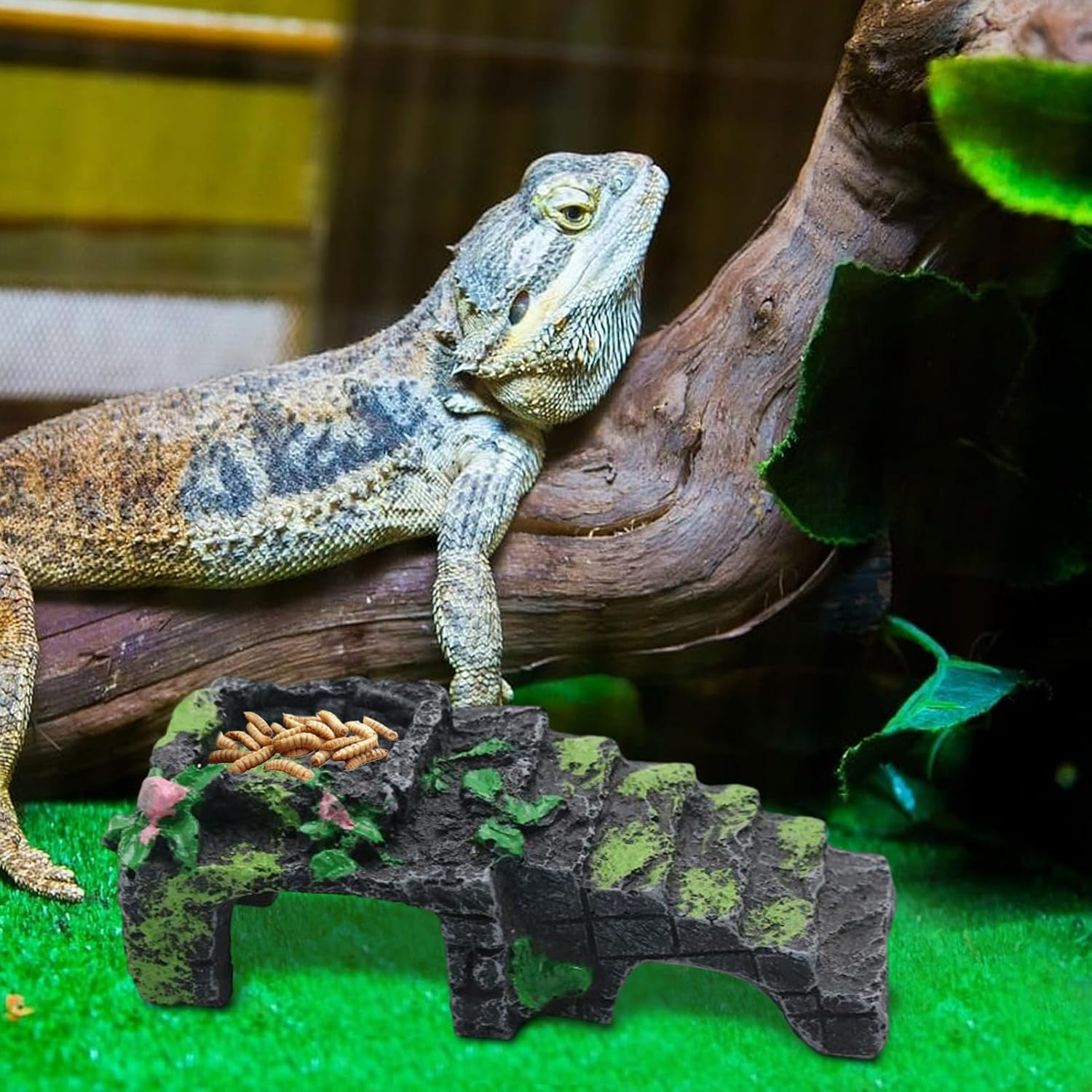 Hermit Crab - 5.12X2.17 Inches Climbing Ladder Water Bowl for Reptiles Tank, Feeding Ramp with Durable Safe Design, Baby Toys Crab for Frogs Lizards Turtle Snake Hamsters Geckos Aquarium Cage image number 5