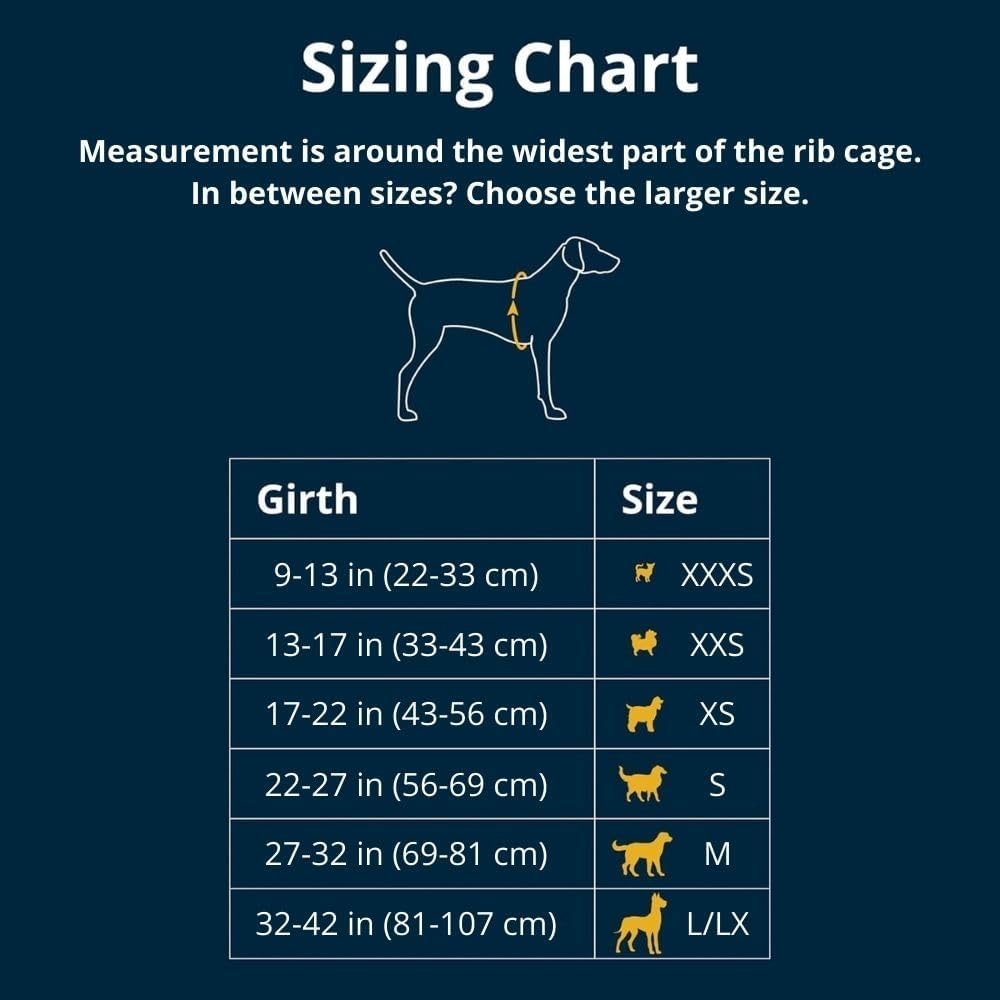 Ruffwear Hi & Light Harness Alpenglow Pink XS image number 2