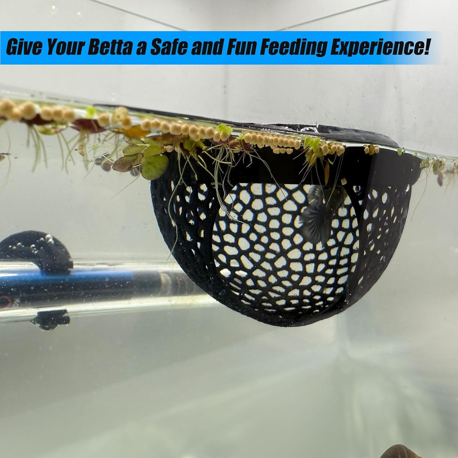 Aquarium Floating Betta Fish Skins, Betta or Shrimp Feeder, Cave and Hammock, Small Fish Feeding Rings, Aquarium Hiding Feeding Decorative Accessories (Green) image number 5