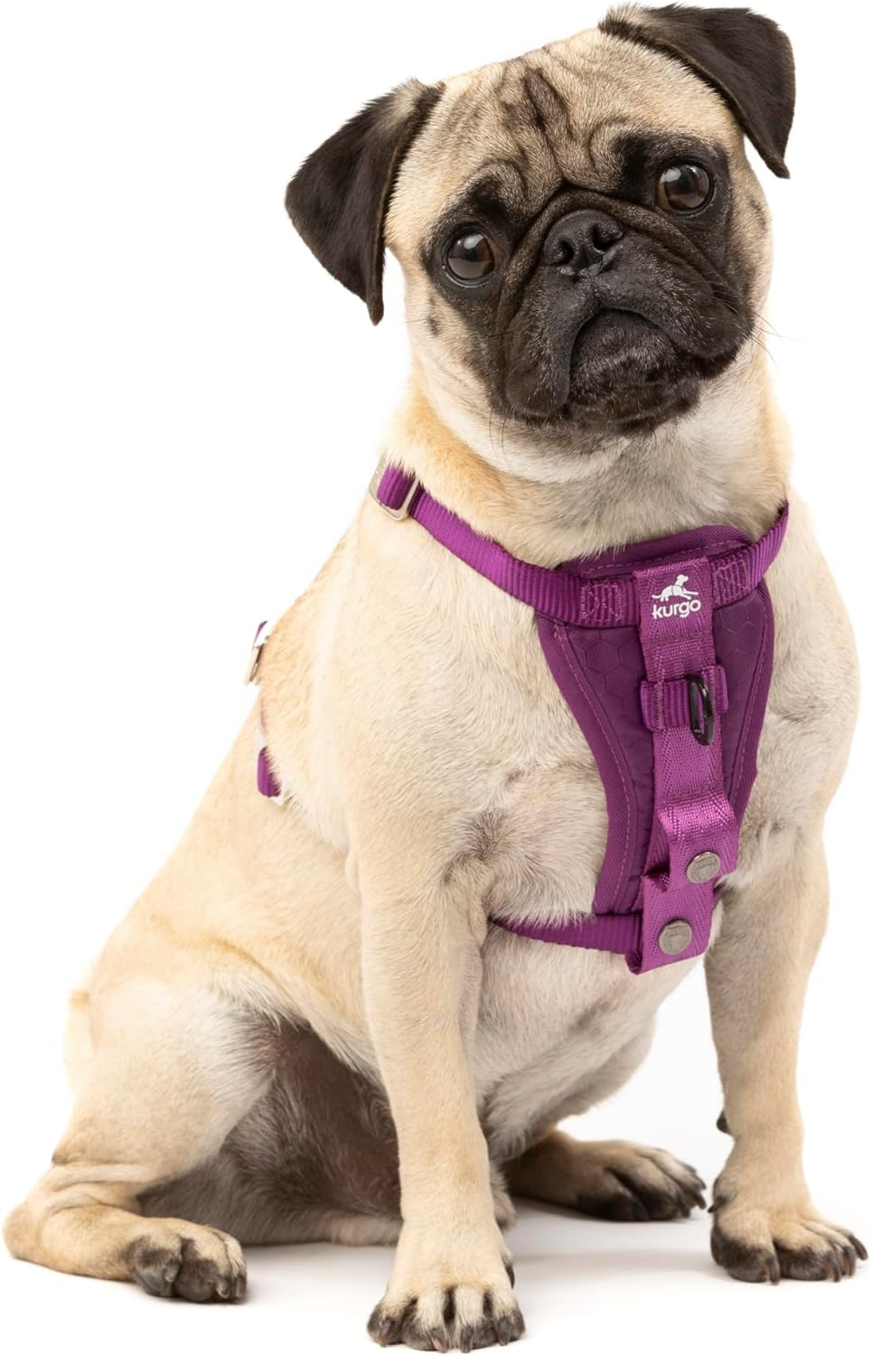 Kurgo Enhanced Strength Tru-Fit Smart Dog Harness, Deep Violet, Small - Crash Tested Car Safety Harness for Dogs, No Pull Dog Harness, Includes Pet Safety Seat Belt Tether, Steel Nesting Buckles image number 6