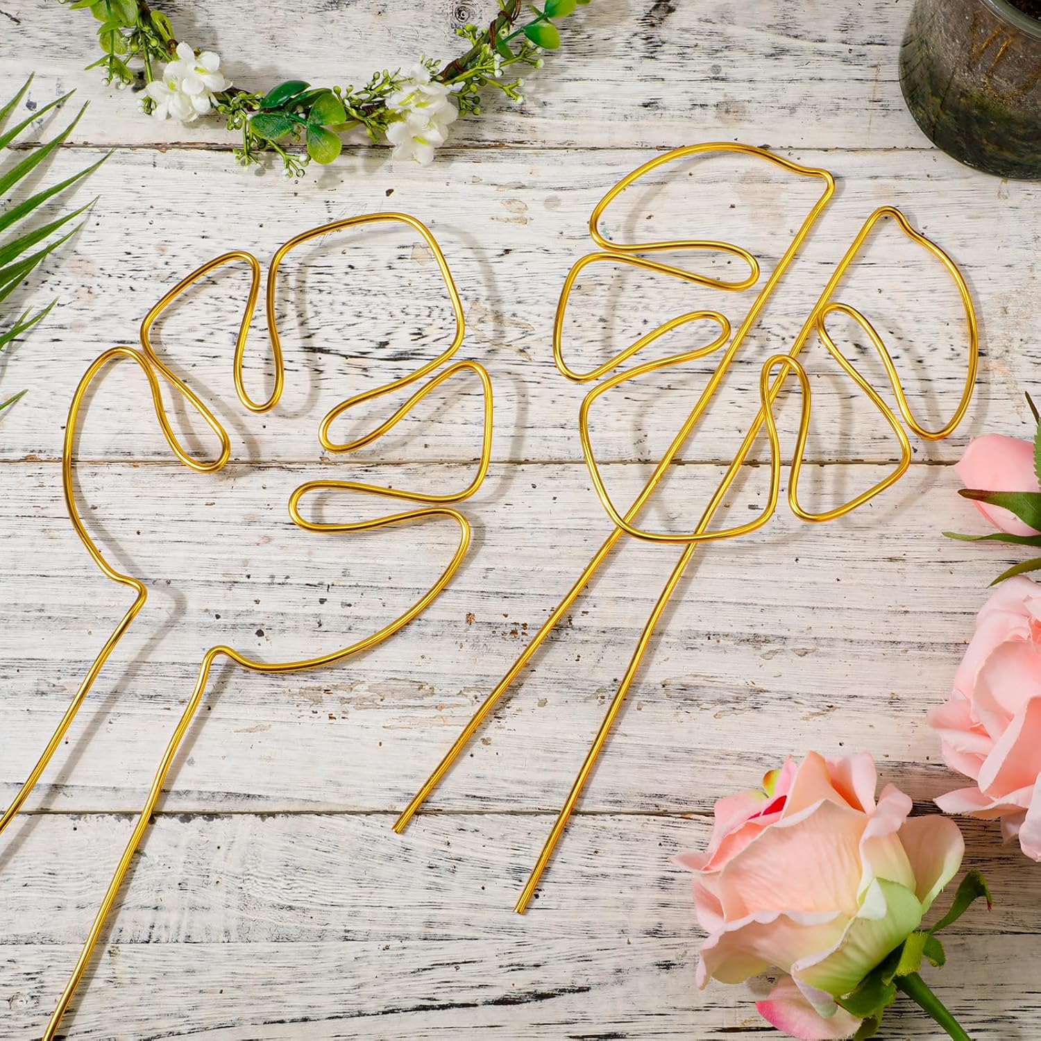 2Pcs Monstera Stand, Golden Stems Stands for Indoor Climbing Plants Reusable Plant Support for Indoor and Outdoor Plants image number 6