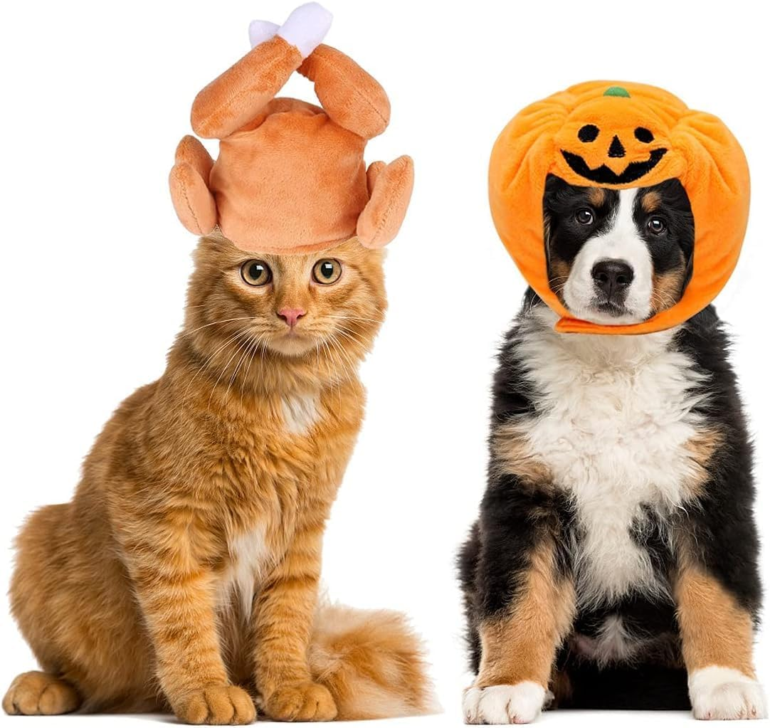 2PCS Cat Small Dog Halloween Hats Cat Halloween Pumpkin Hat Cat Hat Kitty Cap Headband Headgear Costume for Puppy Kitten (Orange, L) image number 2