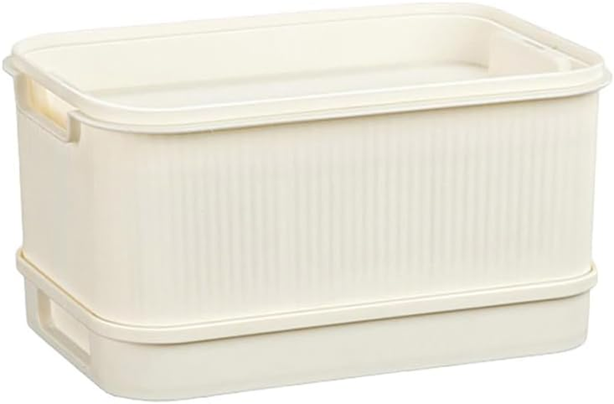 AIMALL Soilless Hydroponic Seedling Tray &ndash; Self-Watering Sprout Tray for Indoor Herb & Vegetable Planting, Double-Layer Design with Visible Water Reservoir