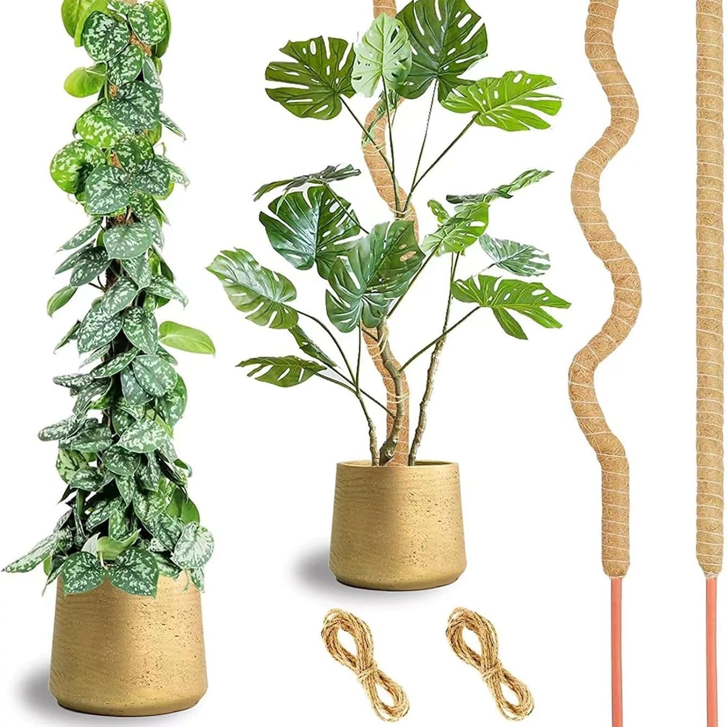 2 Pack 23 Inch Flexible Moss Poles for Monstera Indoor Climbing Plants Coir Plant Support Stake Plant Pole for Pothos Philodendron Garden Plant Supports Moss Poles for Monstera Fishb image number 3