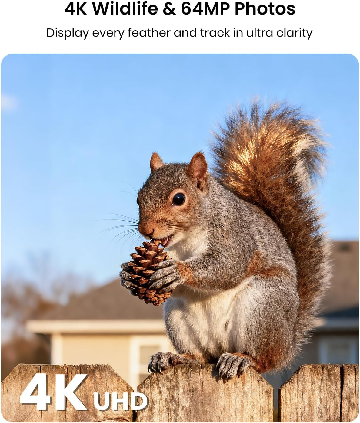 Misstech 4K UHD Solar Trail Camera &ndash; 0.1S Motion Trigger to Capture Fast Animals, Wildlife Monitoring & Game, 64MP/4K Clear Night Vision, No Monthly Fee, App Control, IP66, with 32GB SD Card image number 6