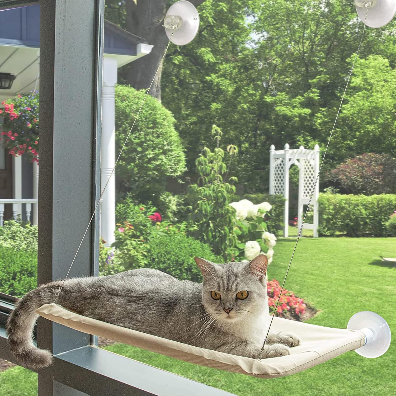 Large Cat Hammock Window Perch with 4 Suction Cups & Solid - Cat Window Perch for Ultimate Comfort (Grey) image number 3