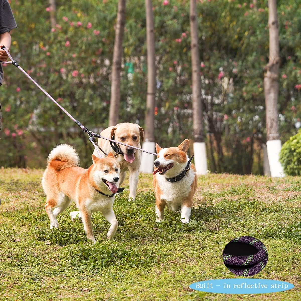 Heyllou 3 Dog Leash - Padded Handle, 360&deg; Swivel Multiple Dog Leash No Tangle, Lead for Medium Large Dogs, Walking & Training Double Dogs (Purple Green) image number 3