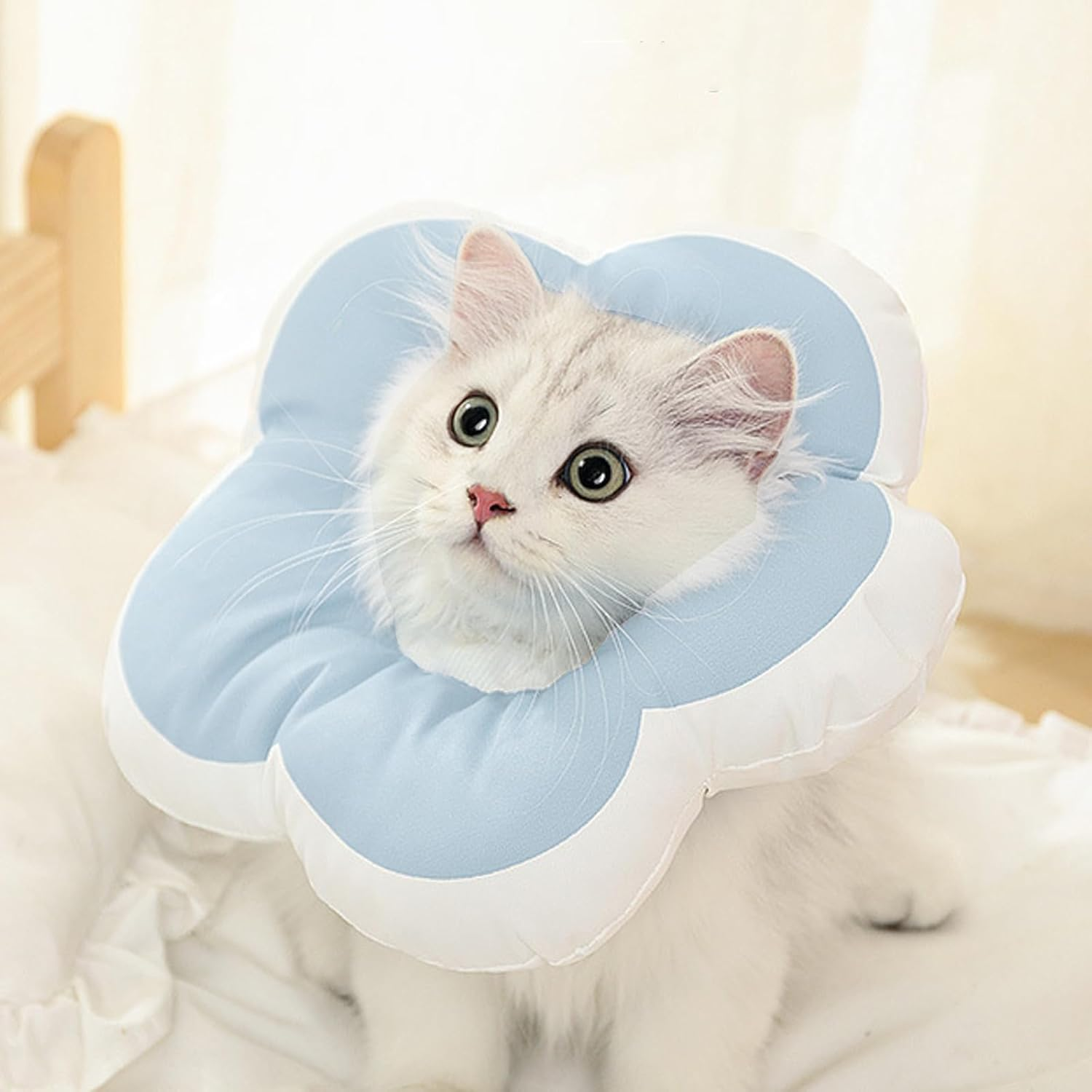 BSITSSS Cat Collar, Adjustable Cat Collar, Soft Collar for Cats, Waterproof Cat Collar, Cotton Cat Collar, Protection against Licking and Scratching after Surgery (M|Blue)