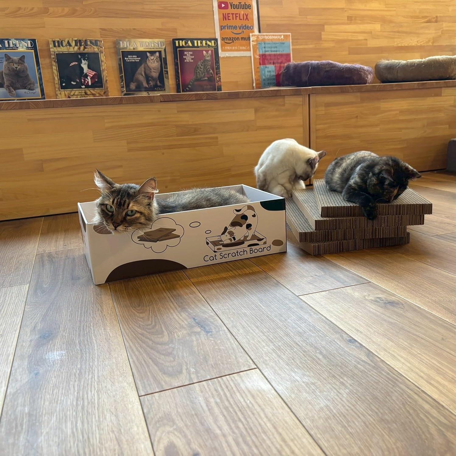 MSBC Cat Claw Sharpener, Box-Shaped, Paper Dust Reducer, 5 Refills, Total of 10 Sides, Economical, Size 16.9 X 9.8 X 5.0 Inches (43 X 25 X 12.7 Cm) image number 4