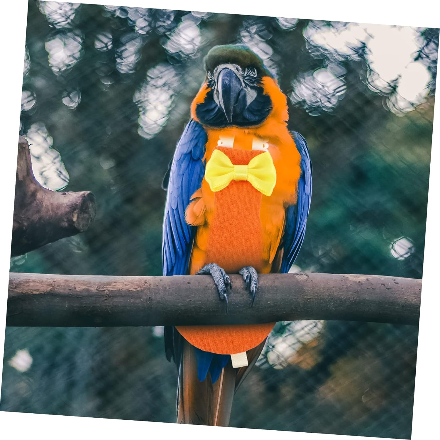 NOLITOY Parrot Diaper Clothes Bird Diaper for Birds Cockatiel Parakeet Outdoor Flight Suits Pigeon Pants