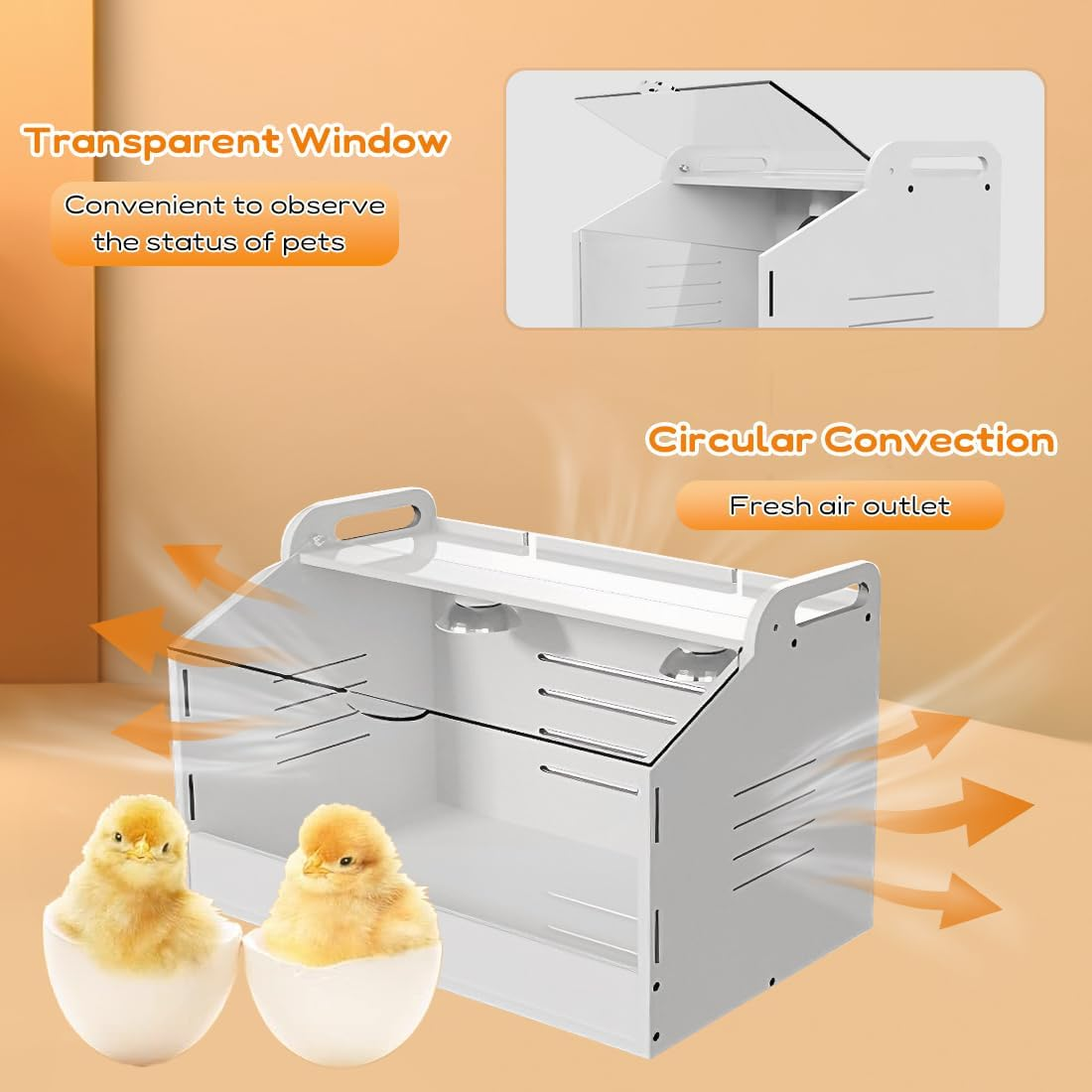 Heater Breeding Box Brooder for Poultry/Reptile/Parrots with Heating Lamp, Warms up to 20 Newborns Chicken, 48 Cm L X 30 Cm D X 32 Cm H (M) image number 4