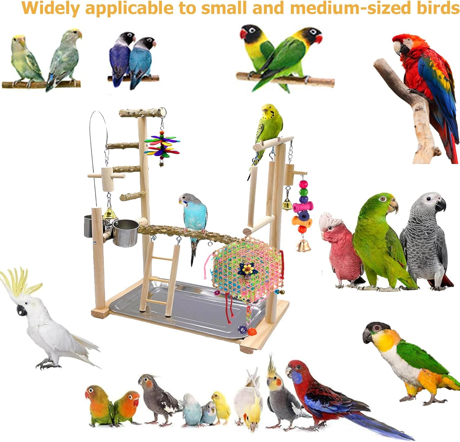 Bird Playground,Parrot Playstand Bird Toys,Bird Perch Stand Gym Set with Swing Ladder Feeder Cups Bird Ladder,Bird Cage Accessories for Parakeets Cockatiels Lovebirds Conure Budgies image number 5
