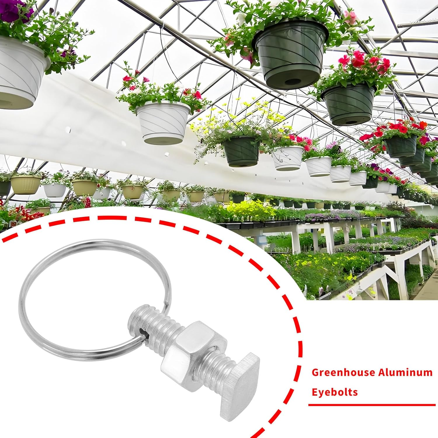 LT Easiyl 15PCS Greenhouse Bolts with Rings Suitable for Greenhouse Glass Rod Channels from 6.5Mm -10.5Mm Wide for Climbing Plants, Building Greenhouse 22X10Mm Silver image number 1