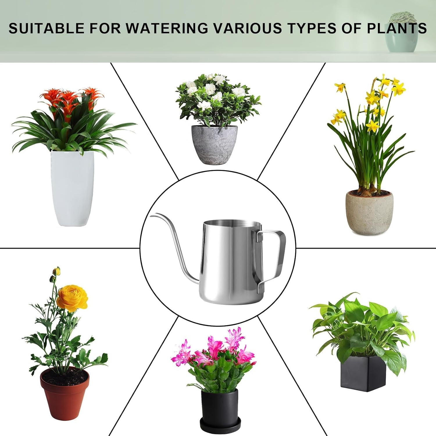 Small Silver Stainless Steel Watering Can, 12 Fluid Ounces image number 2