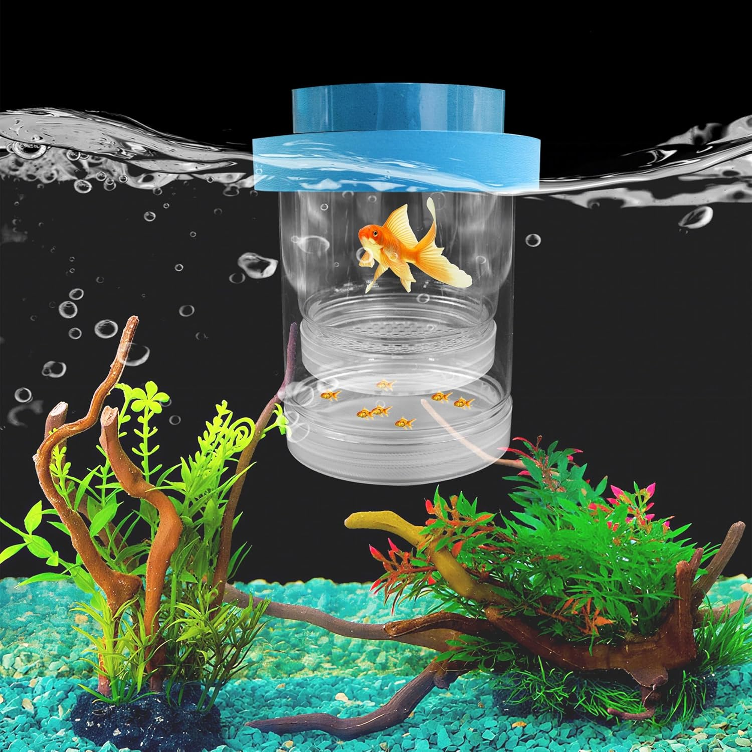 Small Floating Fish Breeding Box, Plastic Breeding Box for Fish Tank with Suction Cup, Clear Aquarium Divider Incubator, Adjustable Isolation Hatchery for Shrimp Guppy (Small) image number 3