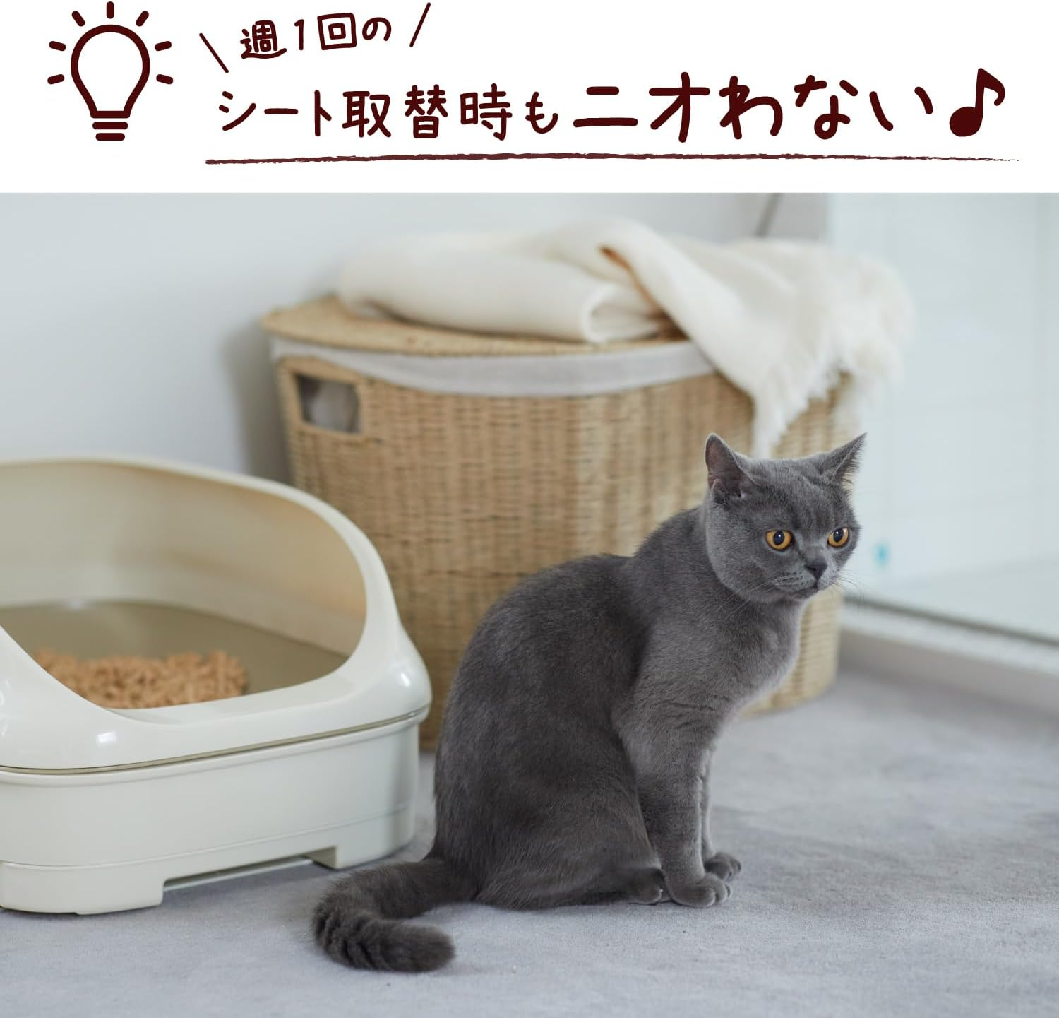 Nyan Tomo Clean Toilet, Cat Sand, Deodorizing/Antibacterial Sheet, Super Pleasant Deo Premium, 12 Sheets image number 6