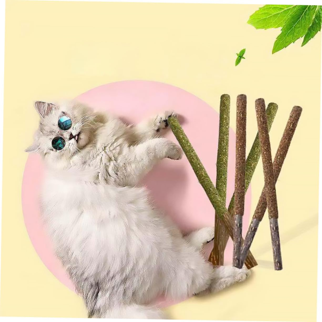 Ipetboom 2Pcs Cat Toy Chew Toys Small Animal Toys Catnip Toys for Cats Kitten Teething Toy Cat Teething Chew Toy Cat Cuddle Toy Pet Supplies Pet Snack Gall Fruit Sticks Catnip Balls image number 1