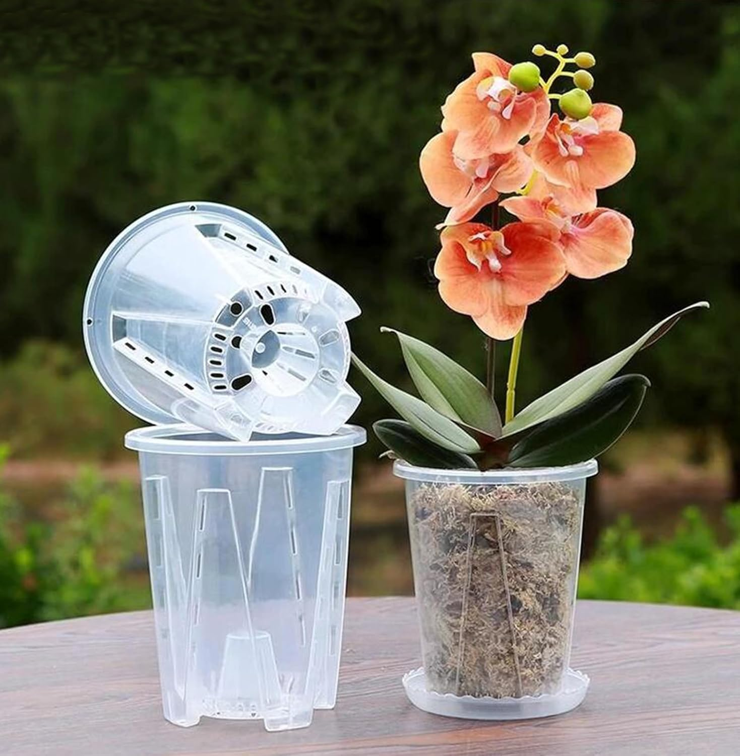 5-Pack Clear Plastic Orchid Pots with Drainage Holes - 14Cm Pots for Plants, Ideal for Orchids and Other Flowers image number 6