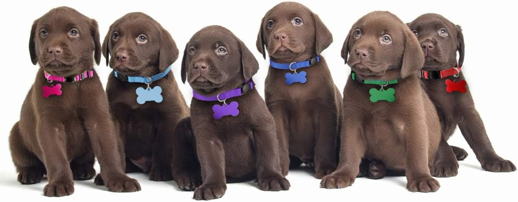 Upgraded Puppy Collars for Litter Puppy ID Collars Whelping Supplies Soft Nylon Breakaway Coloured Collars with 12 ID Tags and 6 Record Keeping Charts(S) image number 2