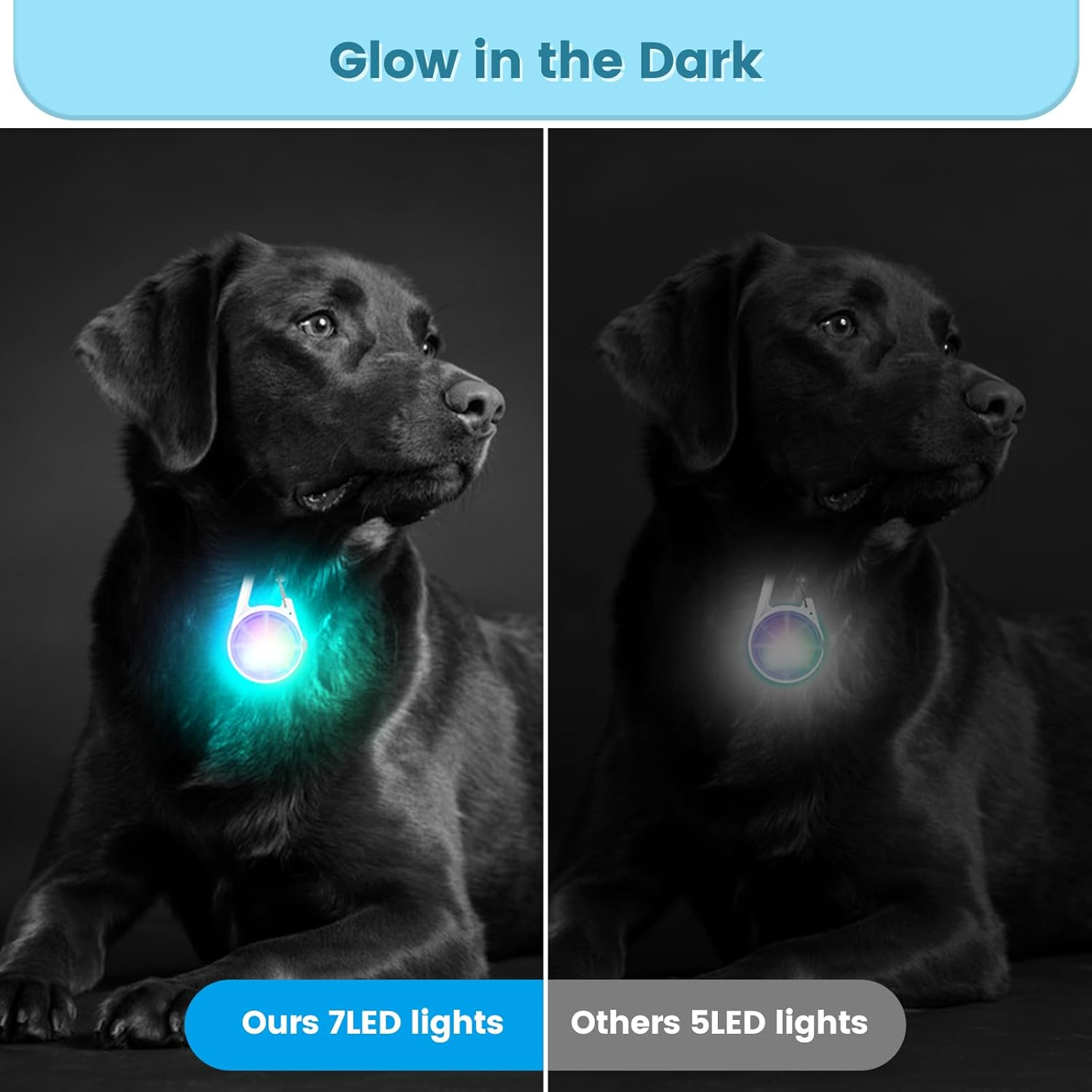 POEEY Dog Lights 2Pack LED Rechargeable Dog Collar Lights Clip on with RGB Color Pet Safety Lights Light up Lighted Dog Harness Light for Night Walking Camping, White, PE-002 image number 3