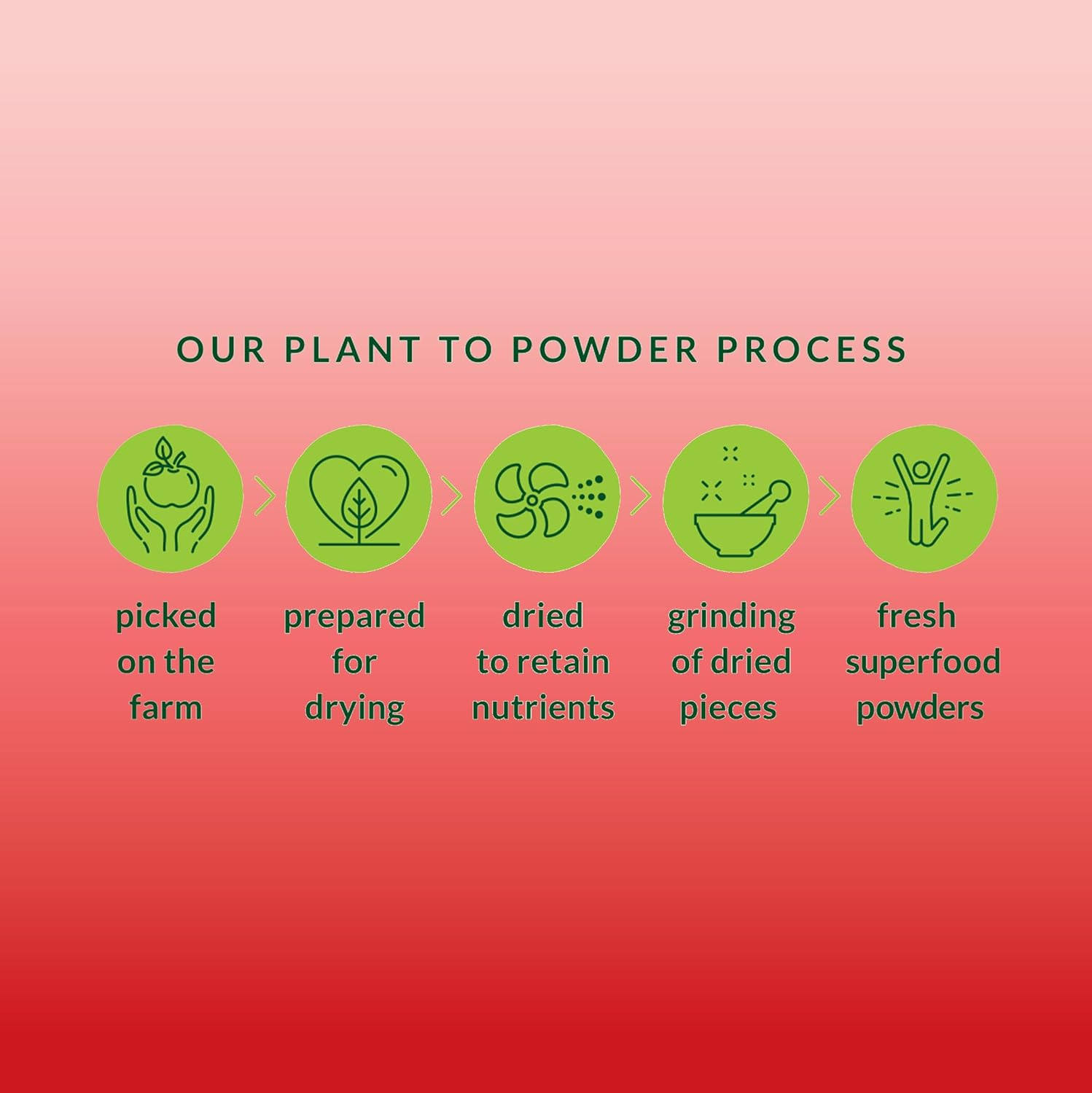 Green Smoothie Powder &ndash; 100% Natural Wholefood Blend with Apples, Kiwifruit, Spinach & Parsley &ndash; Vitamin C, Iron & Fiber &ndash; Nutrient-Dense Superfood Mix &ndash; Vegan, Gluten-Free, Energy & Immune Boost &ndash; 200 Grams