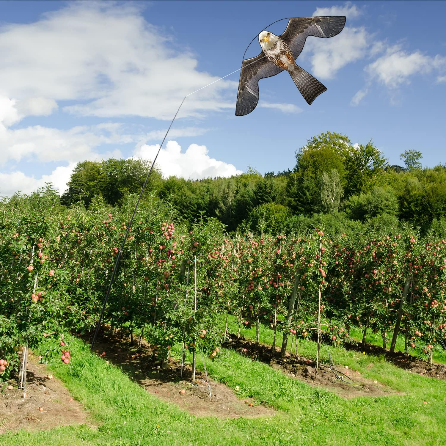 Flerigh Bird Hawk Flying Kite with Pole Crops Farm Protector Bird Scarer Flying Kite with 4M Telescopic Pole Professional for Farm Garden - 4 Meters, Style A With 4M Pole image number 2