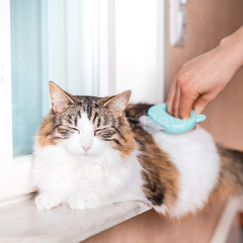 Leo'S Paw the Original Pet Hair Removal Massaging Shell Comb Soft Deshedding Brush Grooming and Shedding Matted Fur Remover Dematting Tool for Long and Short Hair Cat Dog Puppy Bunny (Mint)