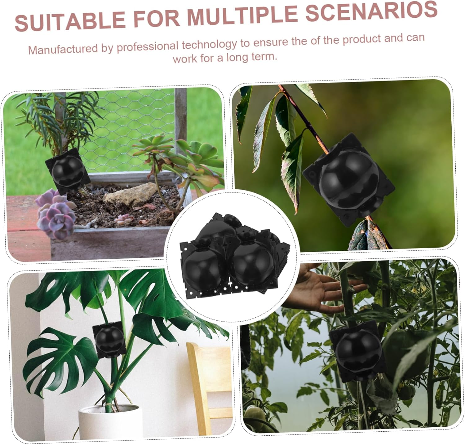 Outanaya 4Pcs Rooting Boxes for Tree Cuttings Plant Propagation Balls Grafting Rooting Apparatus Gardening Tools Devices image number 5