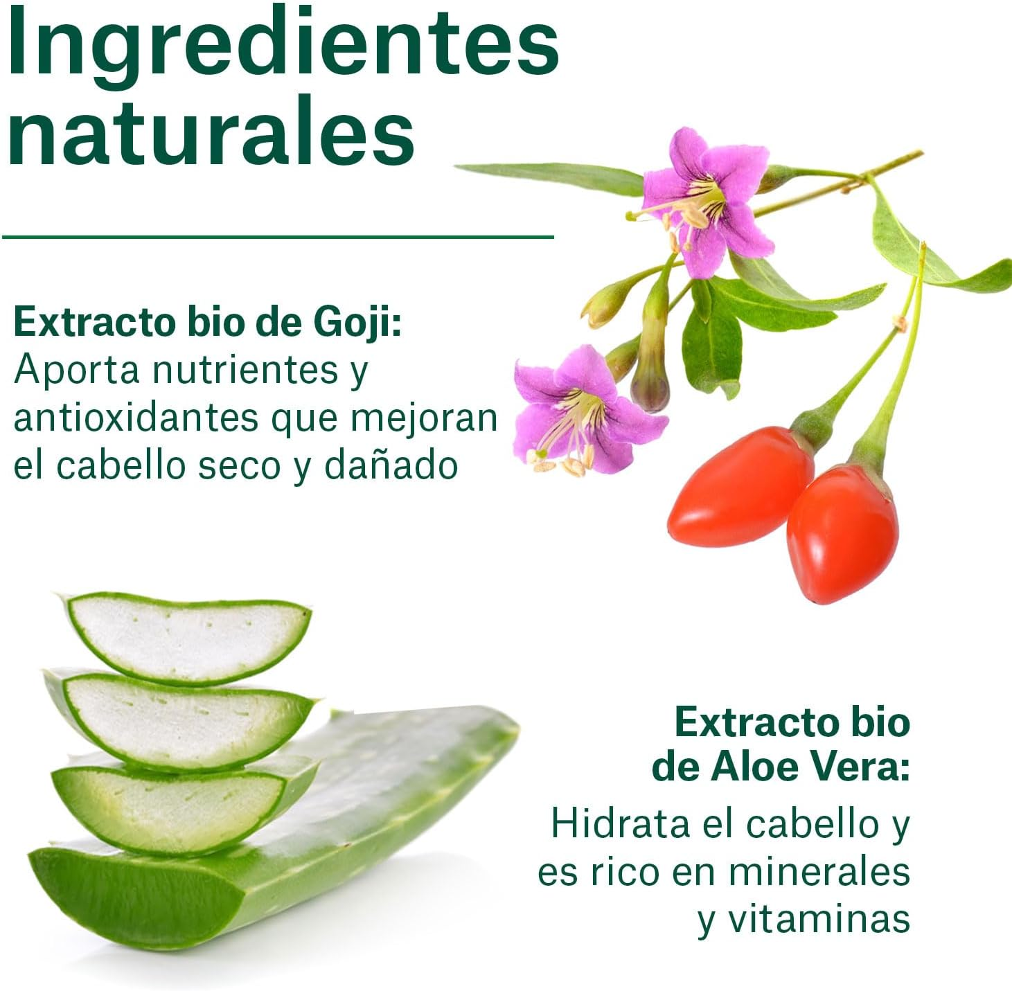 Naturvital Bio Shampoo &ndash; Repairing-Ecocert Certified-No Silicones, Parabens and PEG