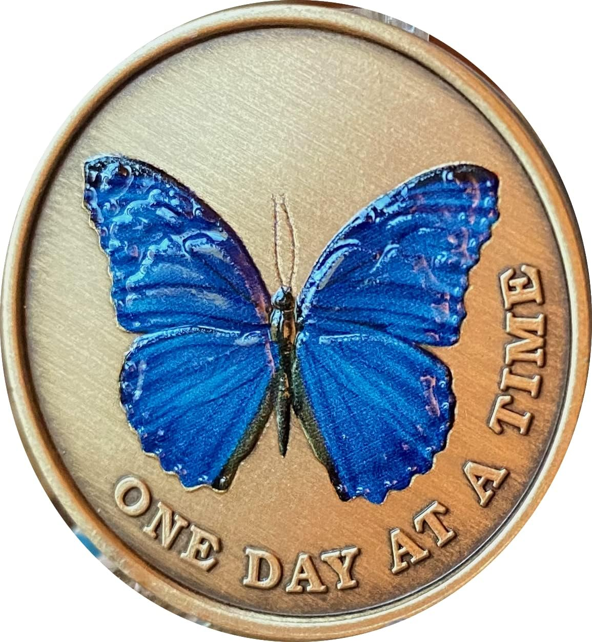 Blue Color Butterfly One Day at a Time Medallion Serenity Prayer Bronze Chip image number 4