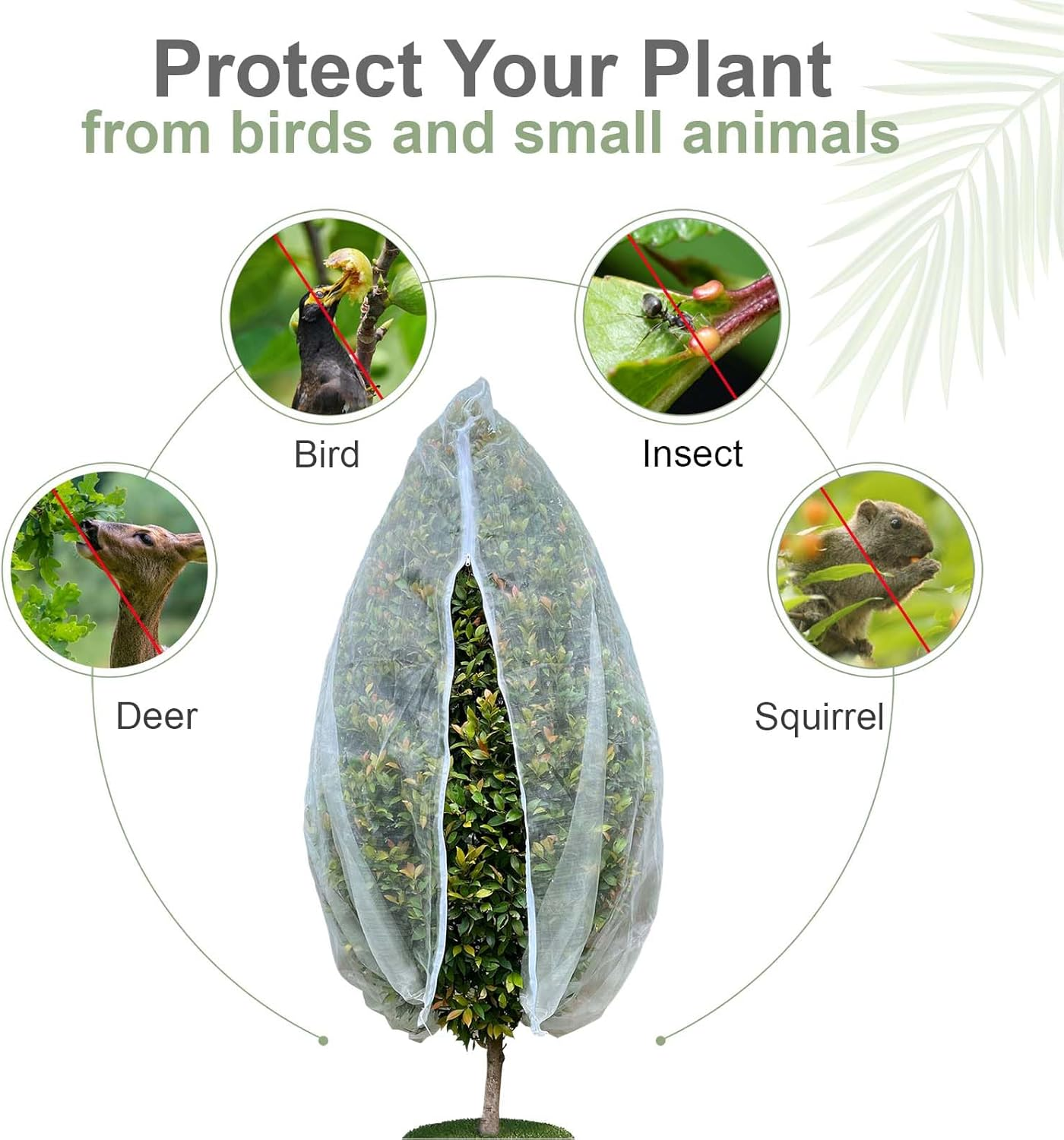 Fruit Tree Netting Cover with Zipper & Drawstring, 2 Packs 4Ft X 4Ft Insect Bird Barrier Netting for Garden Protection, Ultra Fine Mesh Garden Netting image number 2