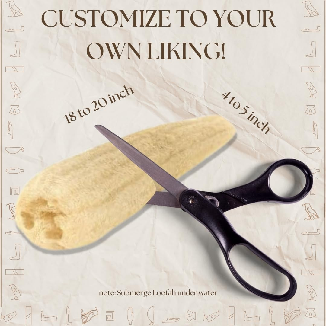 One Whole Egyptian Loofah 100% Natural SPA Beauty Bath Sponge Body Scrubber Puff. Premium Quality Lofa Loofa Luffa Loffa for Exfoliating Your Skin. image number 3