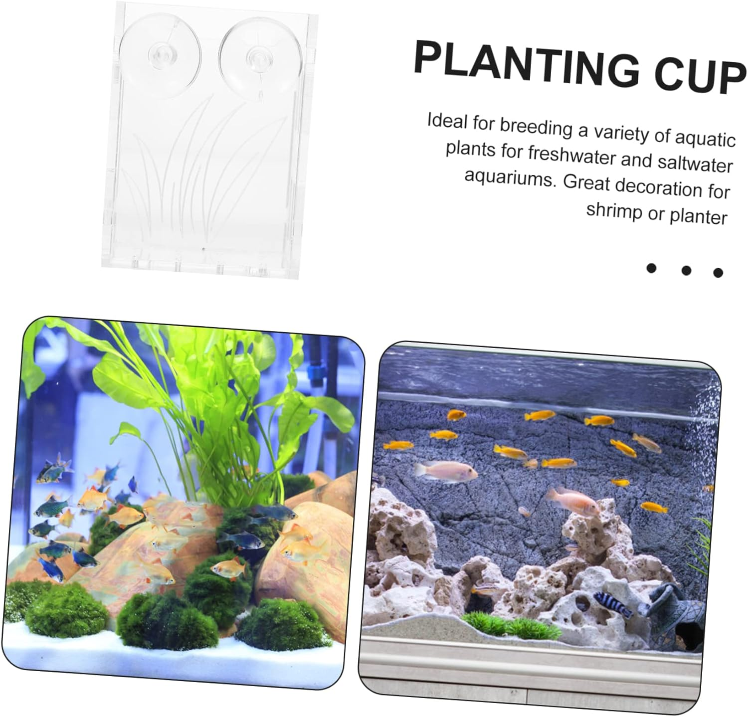 BCOATH Hanging Planter for Aquarium Sturdy Acrylic Planting Cup Fish Tank Plant Holder Aquatic Planting Cup image number 1