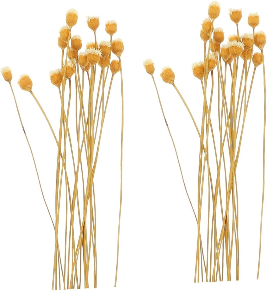 COHEALI 60Pcs Flower Reed Diffuser Stick Scented Sticks for Spa Aroma Diffusers Essential Oil Fragrance