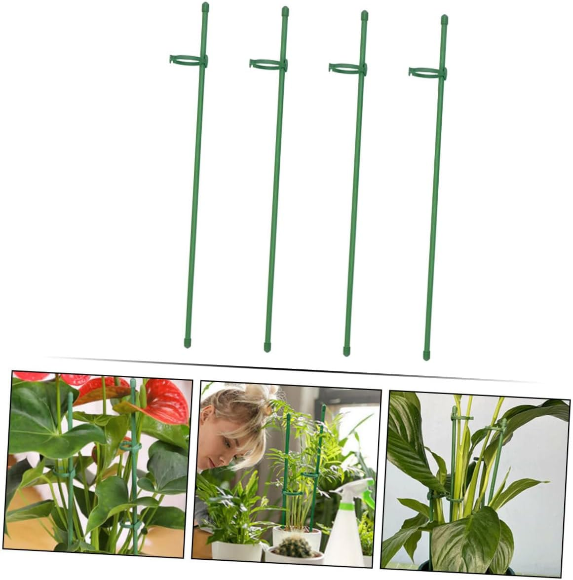 12Sets Garden Single Stem Support Stake Plant Cage Support Stakes for Vegetable Plant Support Stakes Flowers for Hanging and Peony in Your Gardening Supplies image number 2
