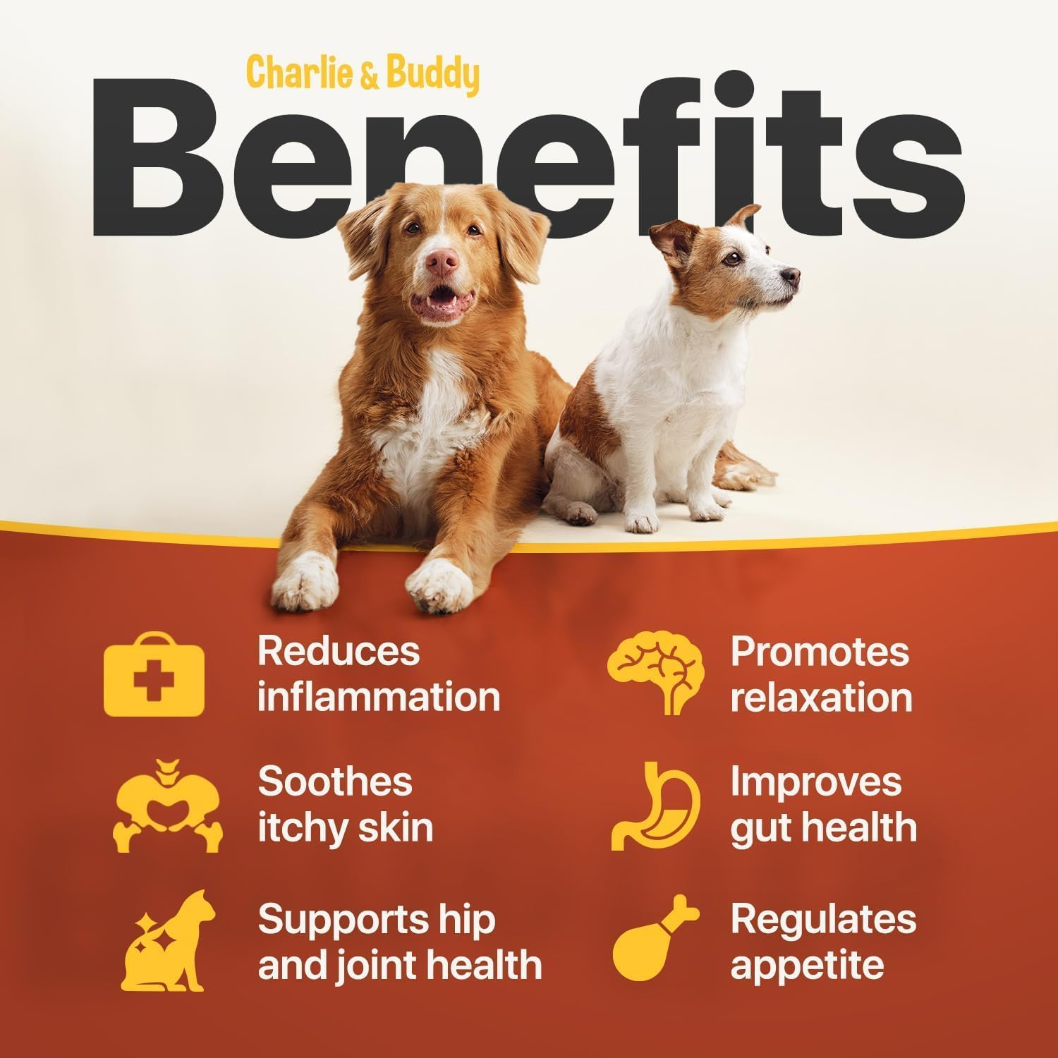 Charlie Buddy - Oil for Dogs Cats - Hip and Joint Support and Skin Health - Anxiety, Calm, Pain - Omega 3, 6, 9 and Vitamins B, C, E image number 2