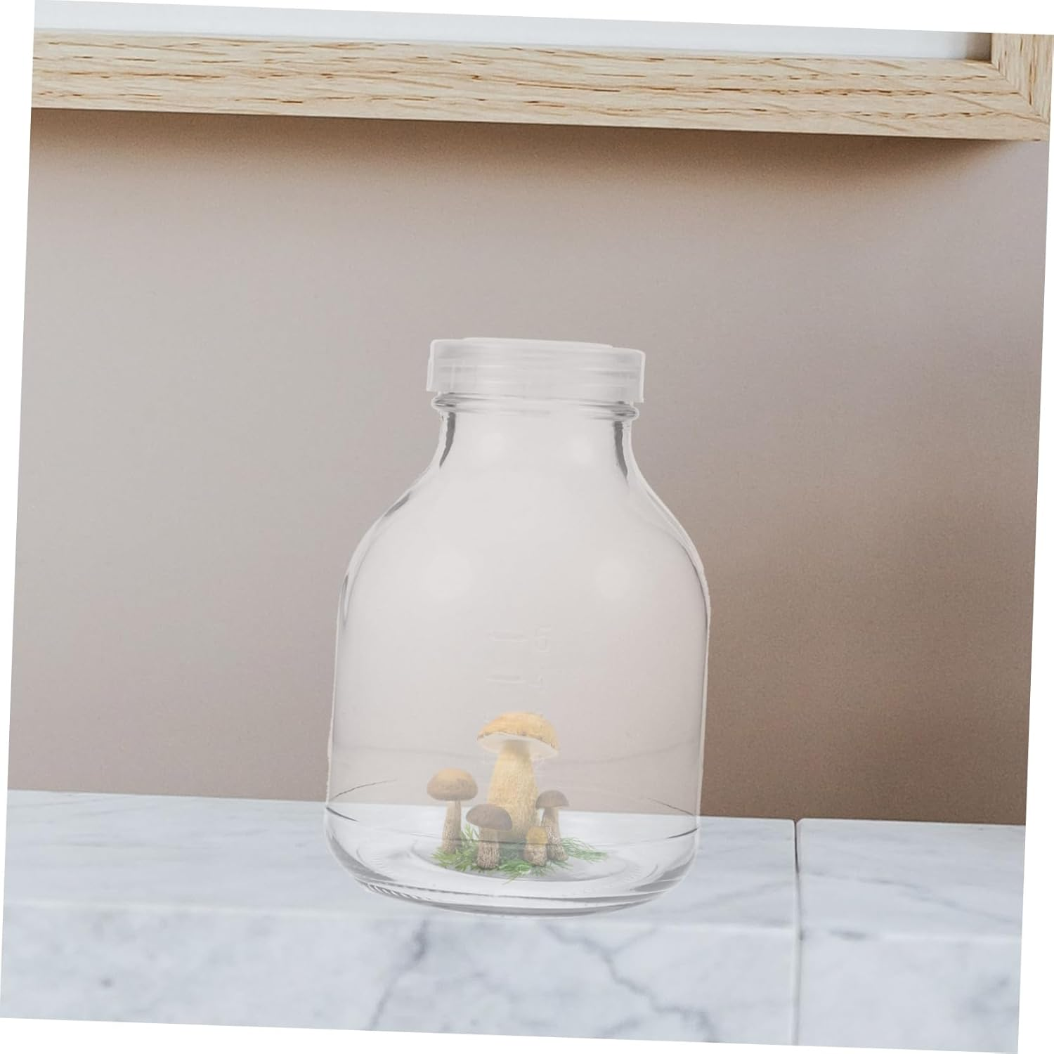 COOPHYA 3Pcs Mushroom Growing Kit Plant Jars Glass Grow Jars Lid Plant Nursery Bottles for Gardening