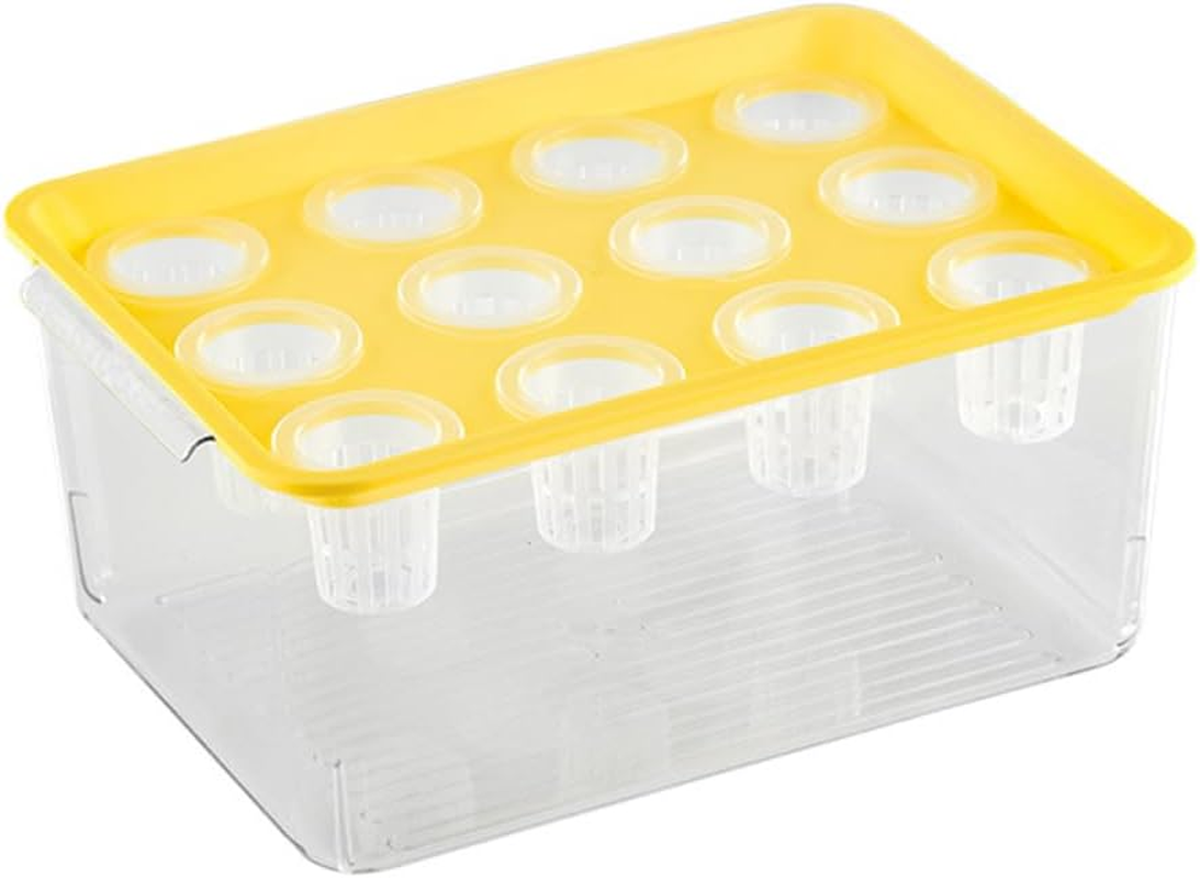 Transparent Plastic Rectangular Hydroponic Planter Box with Twelve-Hole Cover, Portable Micro Landscape Plant and Fish Tank, Ideal for Living Room Desktop Decoration, Durable Material