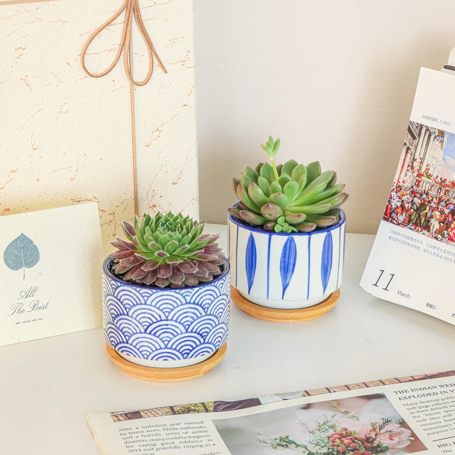 Succulent Planter Pots with Bamboo Tray Set of 3, 3 Inch Ceramic Pots for Plants, Japanese Style Planter, Plant Lover for Women Wife Mom Aunt, Cute Home Office Decoration image number 3